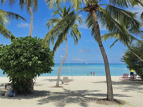 Affordable Accommodations Just Moments from the Breathtaking Giant's Causeway